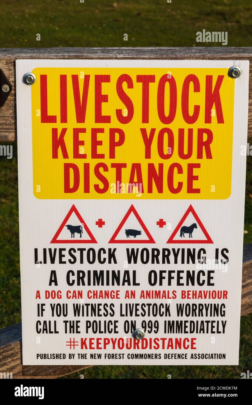 Inghilterra, Hampshire, New Forest, mantenere la distanza da Animals Warning Sign Foto Stock