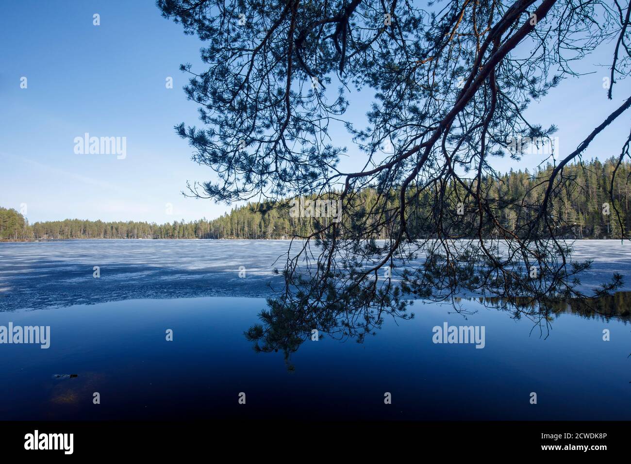 Sciogliere il ghiaccio sul lago a Spring, Finlandia Foto Stock