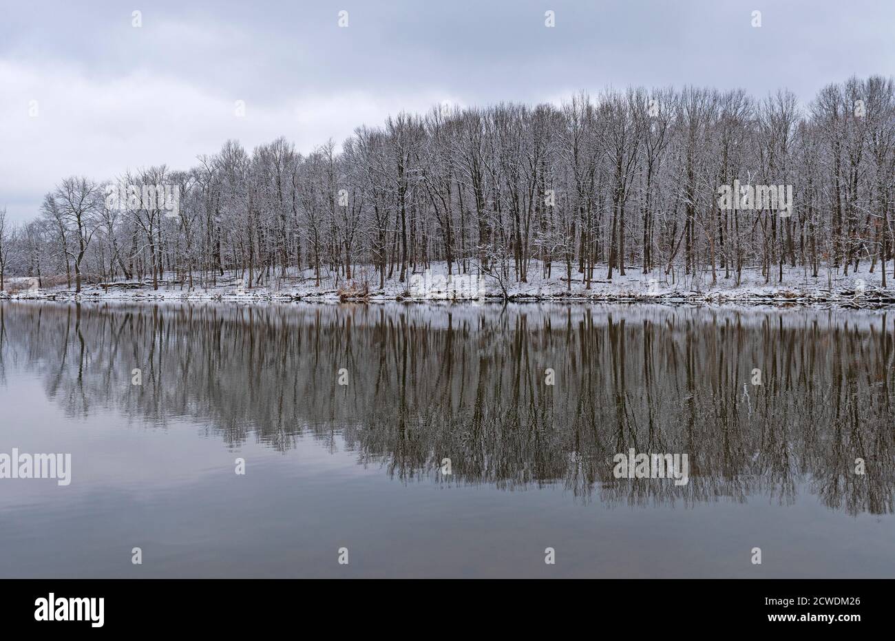 Riflessione innevata in un lago calmo in Busse Woods Froest Riserva in ilinois Foto Stock