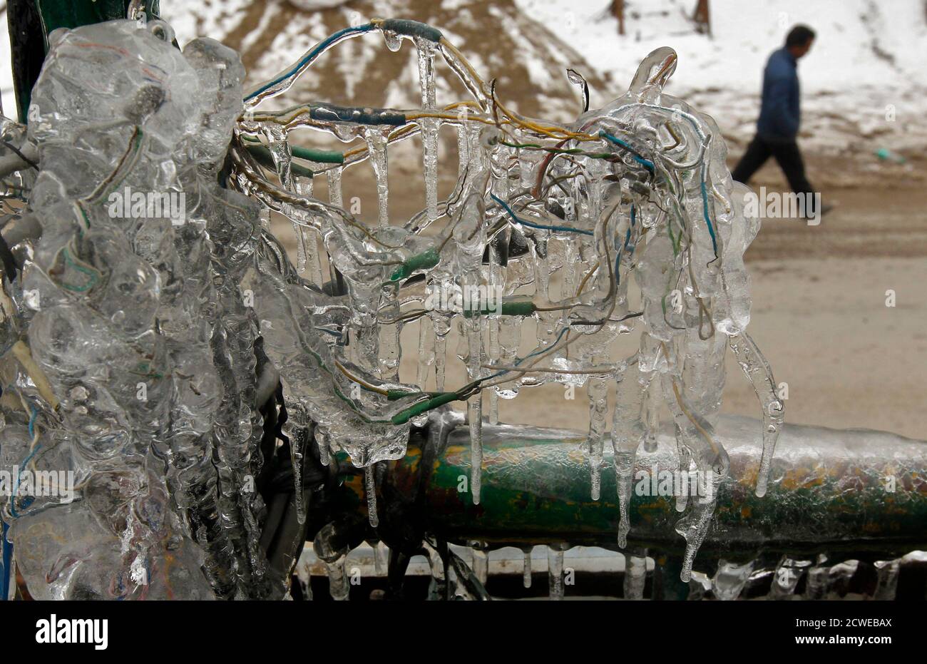 Il freddo ha causato la morte immagini e fotografie stock ad alta