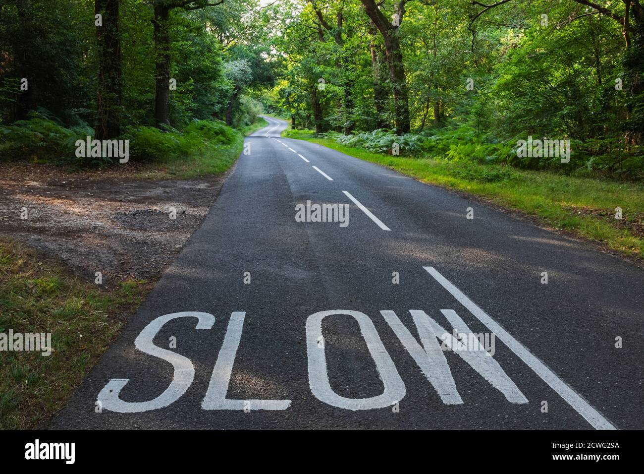 Inghilterra, Hampshire, New Forest, Empty Road con Slow Sign e alberi Foto Stock