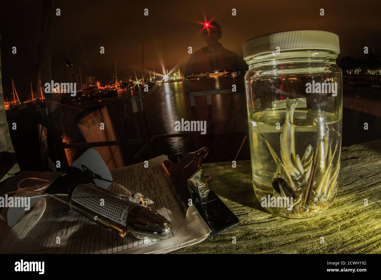 Un vasetto di pesci raccolti durante il campionamento notturno dei pesci larvali presso il laboratorio NOAA in North Carolina. Foto Stock