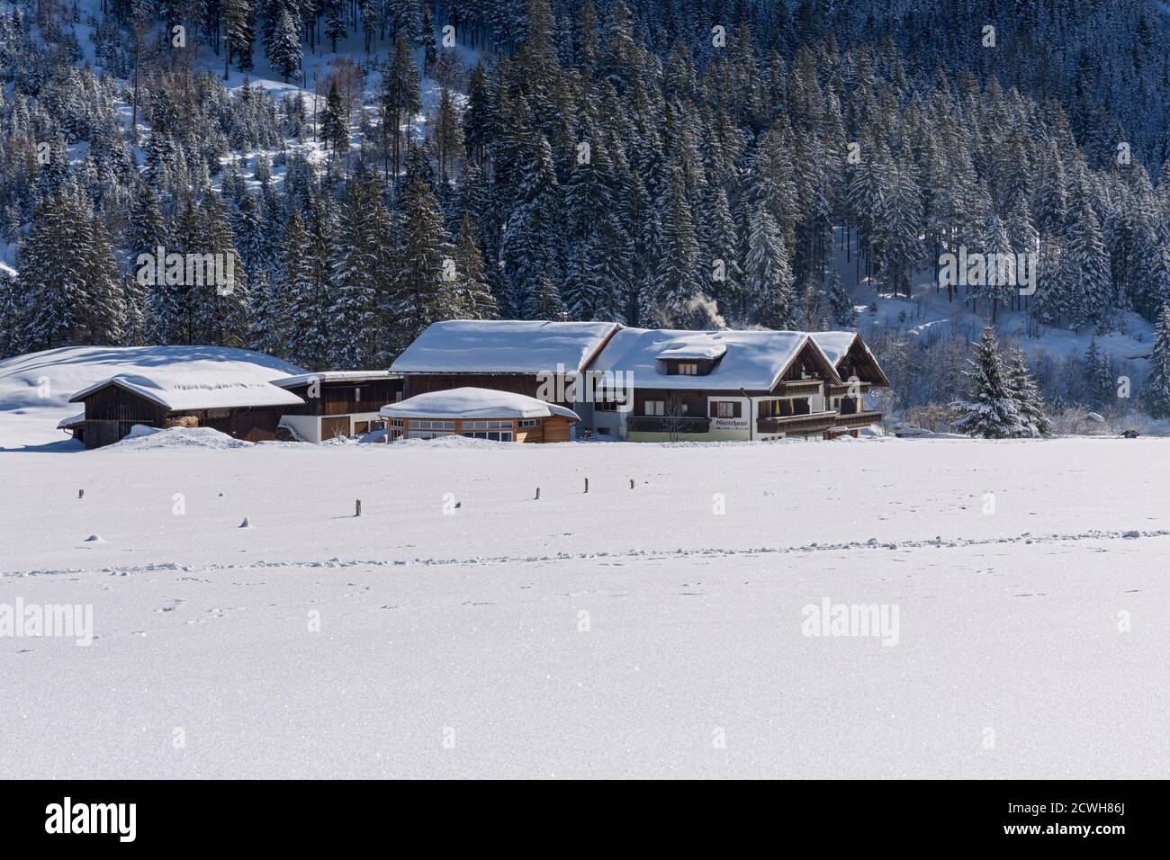 Winterlandschaft; Häuser; verschneit Foto Stock