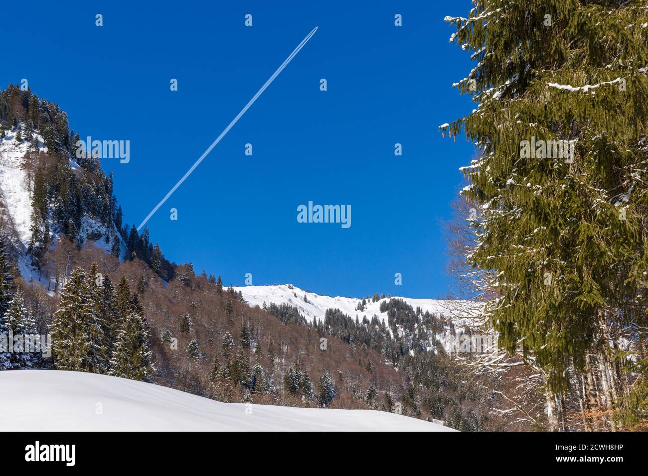 Winterlandschaft; Berge; Wald, verschneit; Flugzeug; Kondensstreifen Foto Stock