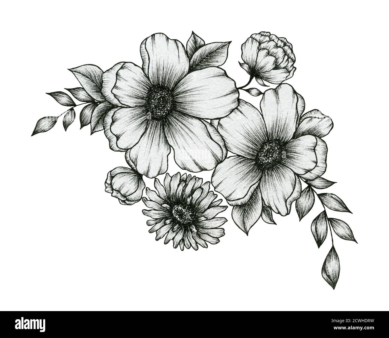 bouquet di fiori disegnati a mano isolati su inchiostro bianco, nero e bianco disegno floreale con fiori e foglie, decorazione floreale d'autunno vintage Foto Stock