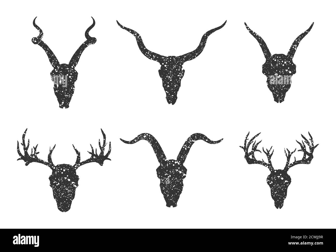Insieme vettoriale di sei teschi di animali cornati disegnati a mano: Antilopi, cervi e capre su sfondo bianco. Silhouette nere con texture grunge nella vecchia sk Illustrazione Vettoriale