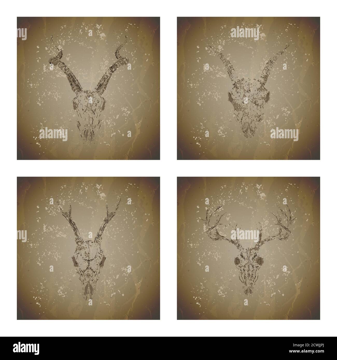 Serie vettoriale di quattro illustrazioni con sagome grunge teschi caprioli, antilopi, stag e capra su sfondo vintage. Schizzo in colore seppia. Per te de Illustrazione Vettoriale