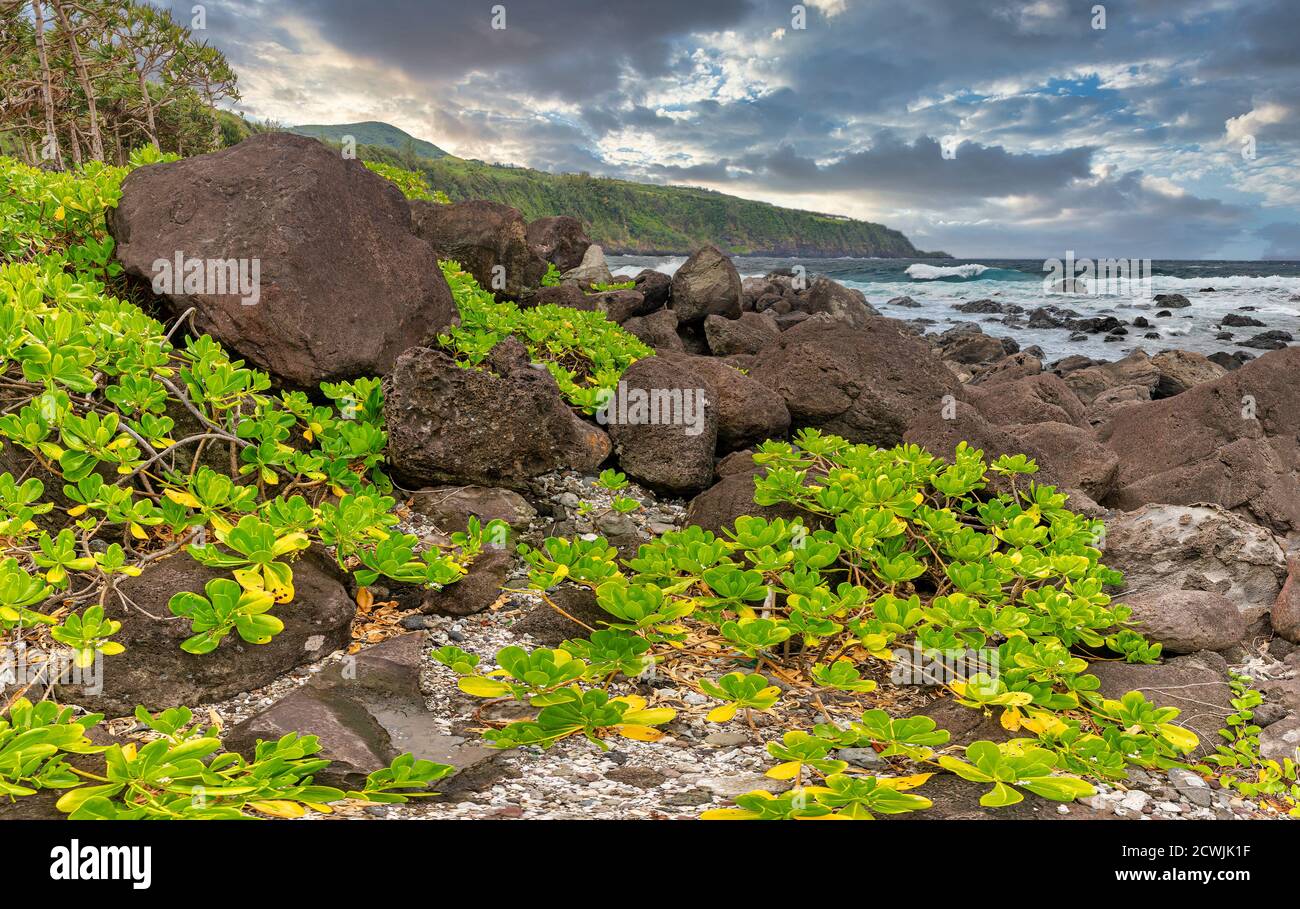 Nel tardo pomeriggio sulla linea costiera vicino a Vincendo (Costa Sud dell'isola la Reunion) Foto Stock