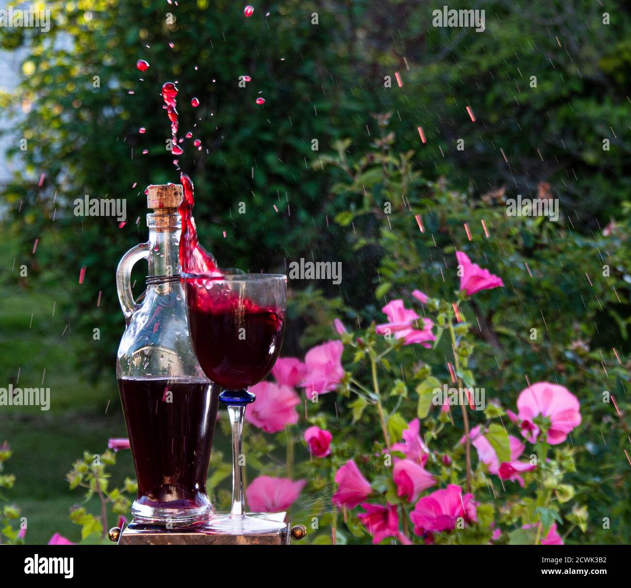 nel giardino si spruzzi di vino mirtillo fatto in casa Foto Stock