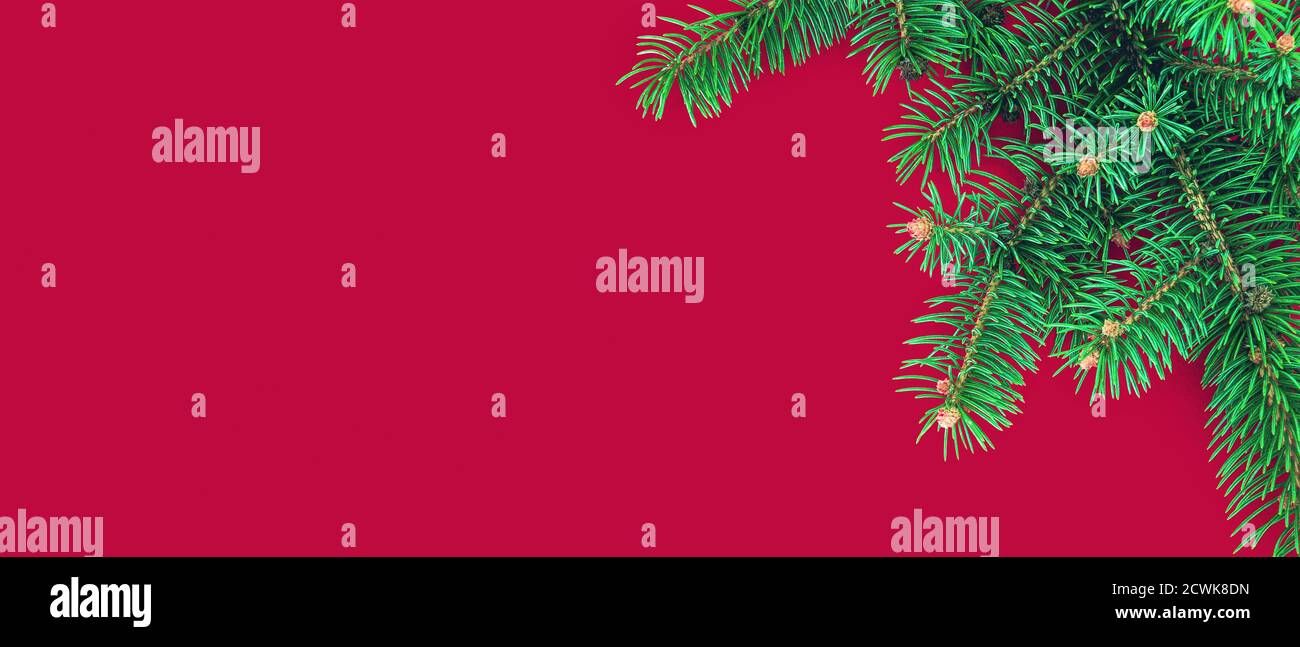 Banner natalizio con bordo di rami di abete verde su rosso sfondo Foto Stock