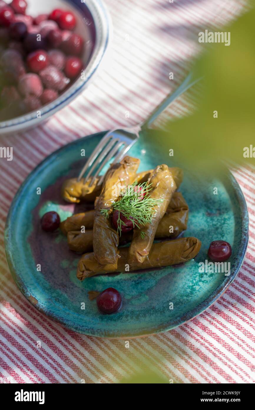 Un piatto di deliziose foglie d'uva ripiene Foto Stock
