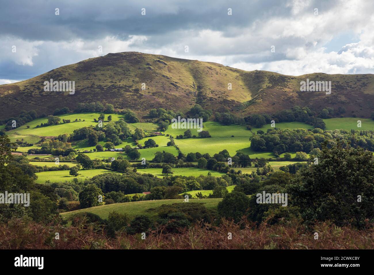 Caer Caradoc da Plush Hill, Shropshire Hills, vicino a Church Stretton, Shropshire Foto Stock