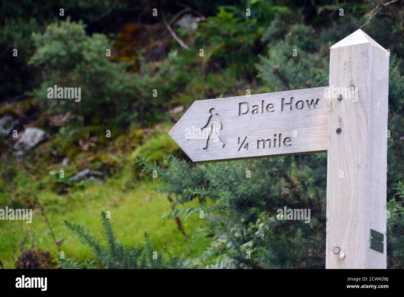 Segnaletica in legno per sentiero a Dale come a Rannerdale nel Lake District National Park, Cumbria, Inghilterra, UK. Foto Stock