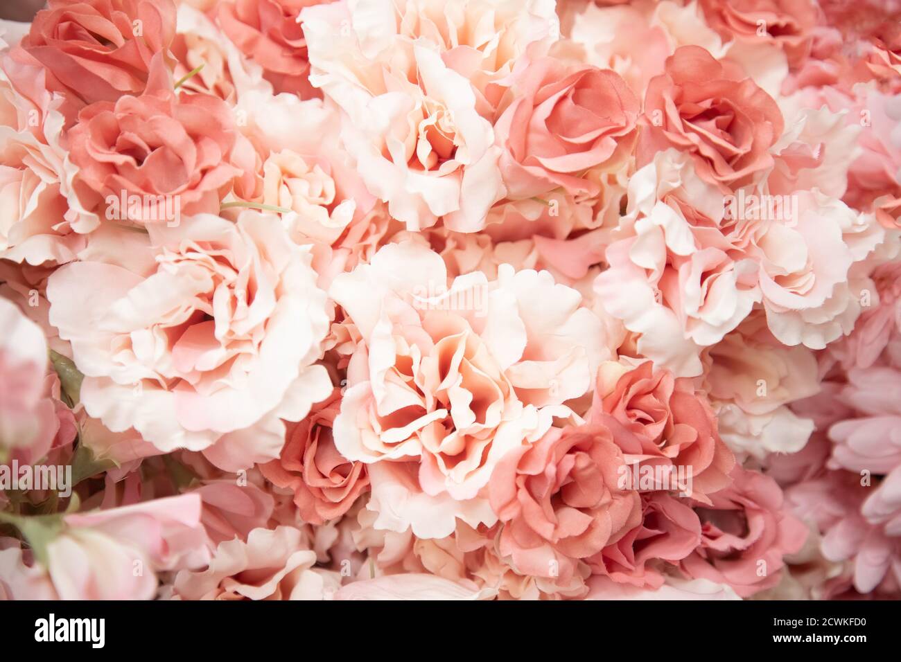 primaverile texture tenera rosa fiori artificiali primo piano Foto Stock