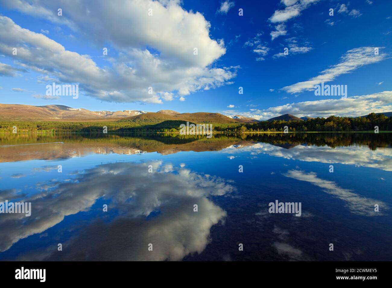 Loch Morlich, Badenoch e Strathspey, Highlands, Scozia Foto Stock