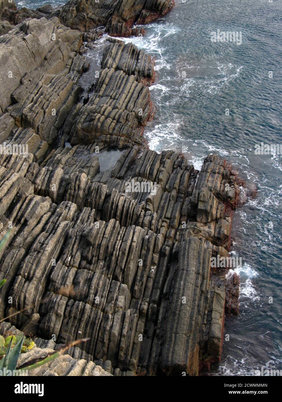 Rocce stratificate lungo la costa ligure, mare tirreniano (Nord Italia) Foto Stock