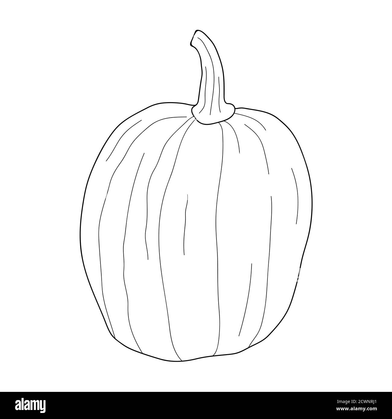 Illustrazione vettoriale trasparente della zucca isolata su sfondo bianco. Cibo vegetariano sano. Stile Doodle. Decorazione per biglietti d'auguri, poster, p Illustrazione Vettoriale