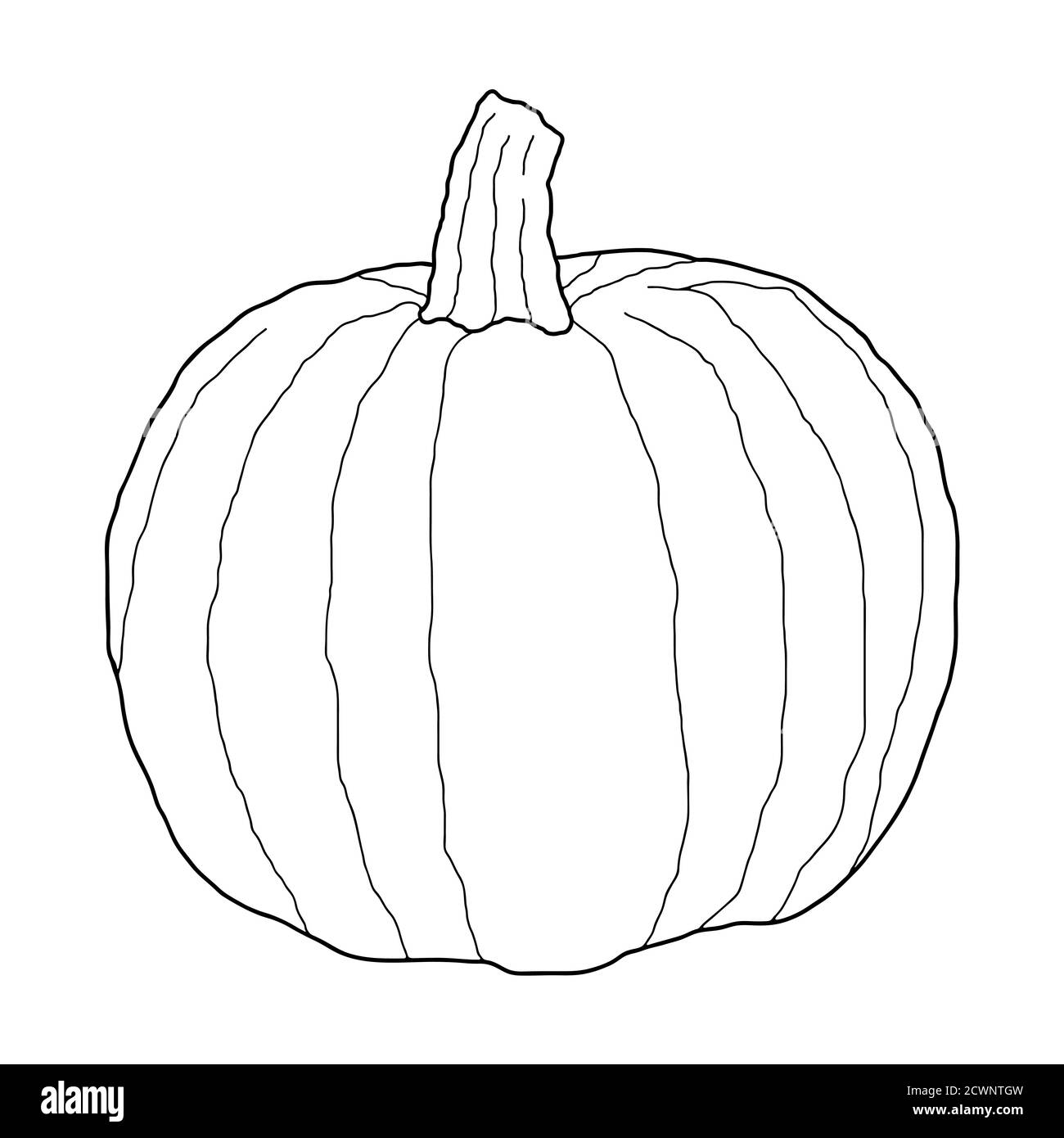 Illustrazione vettoriale trasparente della zucca isolata su sfondo bianco. Cibo vegetariano sano. Stile Doodle. Decorazione per biglietti d'auguri, poster, p Illustrazione Vettoriale