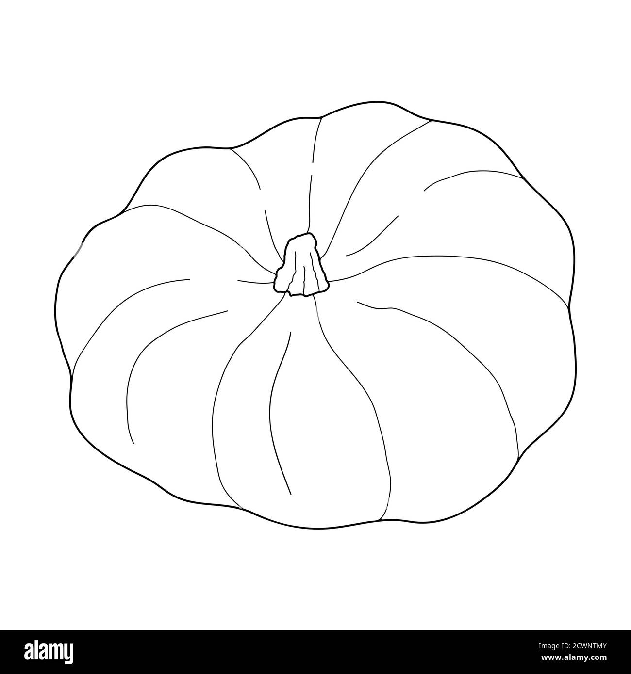 Illustrazione vettoriale trasparente della zucca isolata su sfondo bianco. Cibo vegetariano sano. Stile Doodle. Decorazione per biglietti d'auguri, poster, p Illustrazione Vettoriale