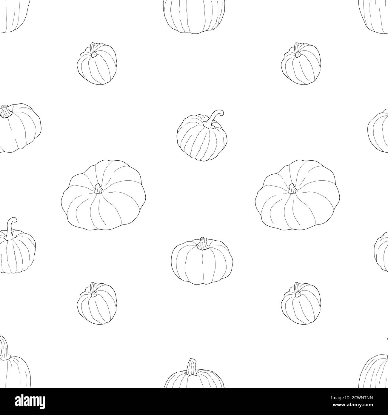 Motivo trasparente senza cuciture della zucca. Illustrazione vettoriale isolata su sfondo bianco. Cibo vegetariano sano. Stile Doodle. Illustrazione Vettoriale