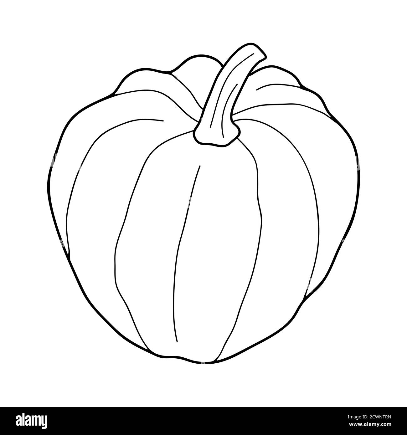 Illustrazione vettoriale trasparente della zucca isolata su sfondo bianco. Cibo vegetariano sano. Stile Doodle. Decorazione per biglietti d'auguri, poster, p Illustrazione Vettoriale