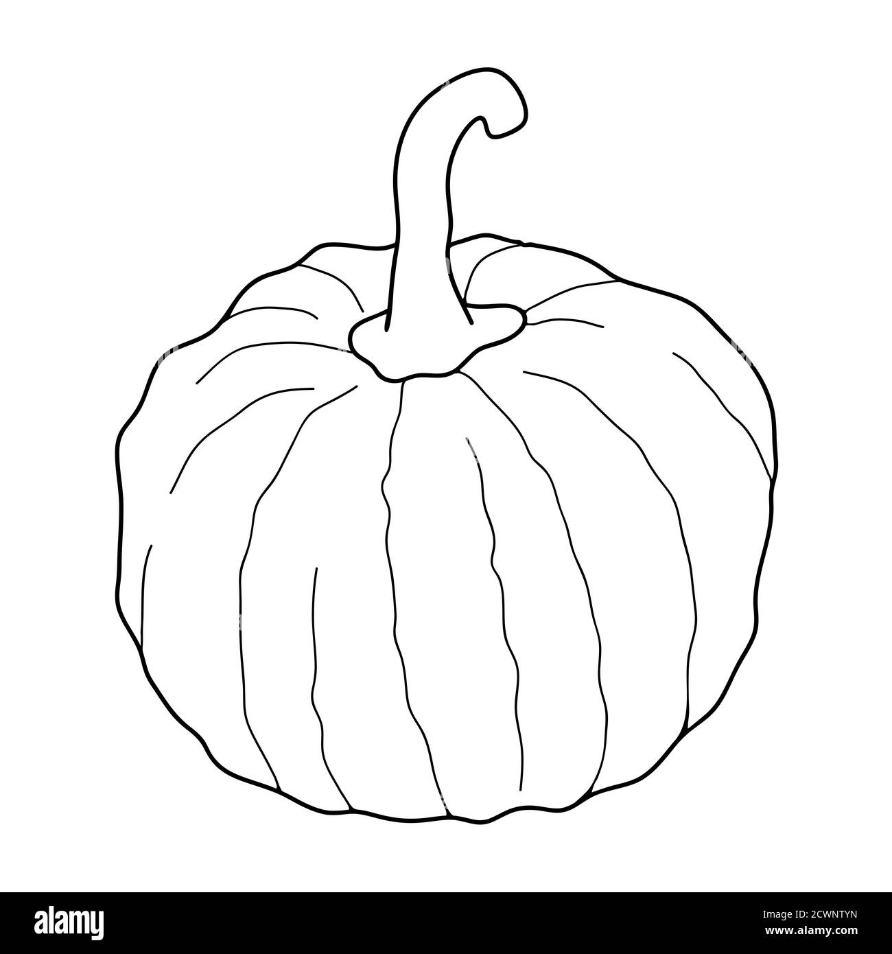Illustrazione vettoriale trasparente della zucca isolata su sfondo bianco. Cibo vegetariano sano. Stile Doodle. Decorazione per biglietti d'auguri, poster, p Illustrazione Vettoriale