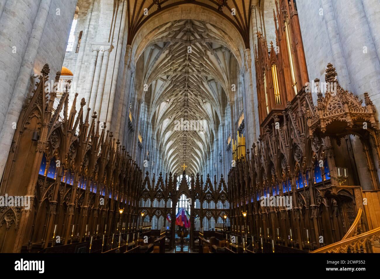 Inghilterra, Hampshire, Winchester, Winchester Cathedral, le bancarelle del coro Foto Stock