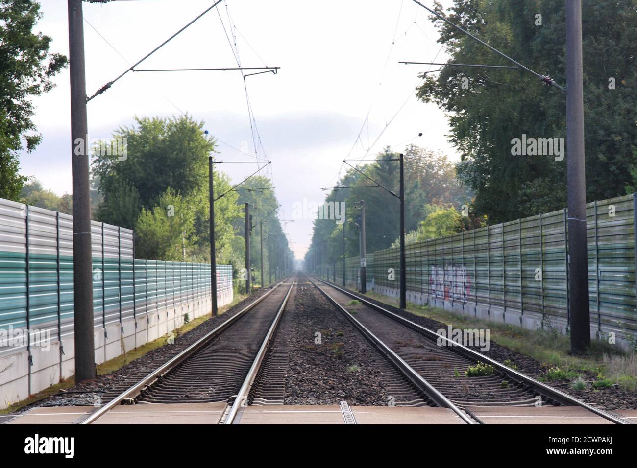 Binari ferroviari con pareti di protezione dal rumore e alberi sul laterale Foto Stock