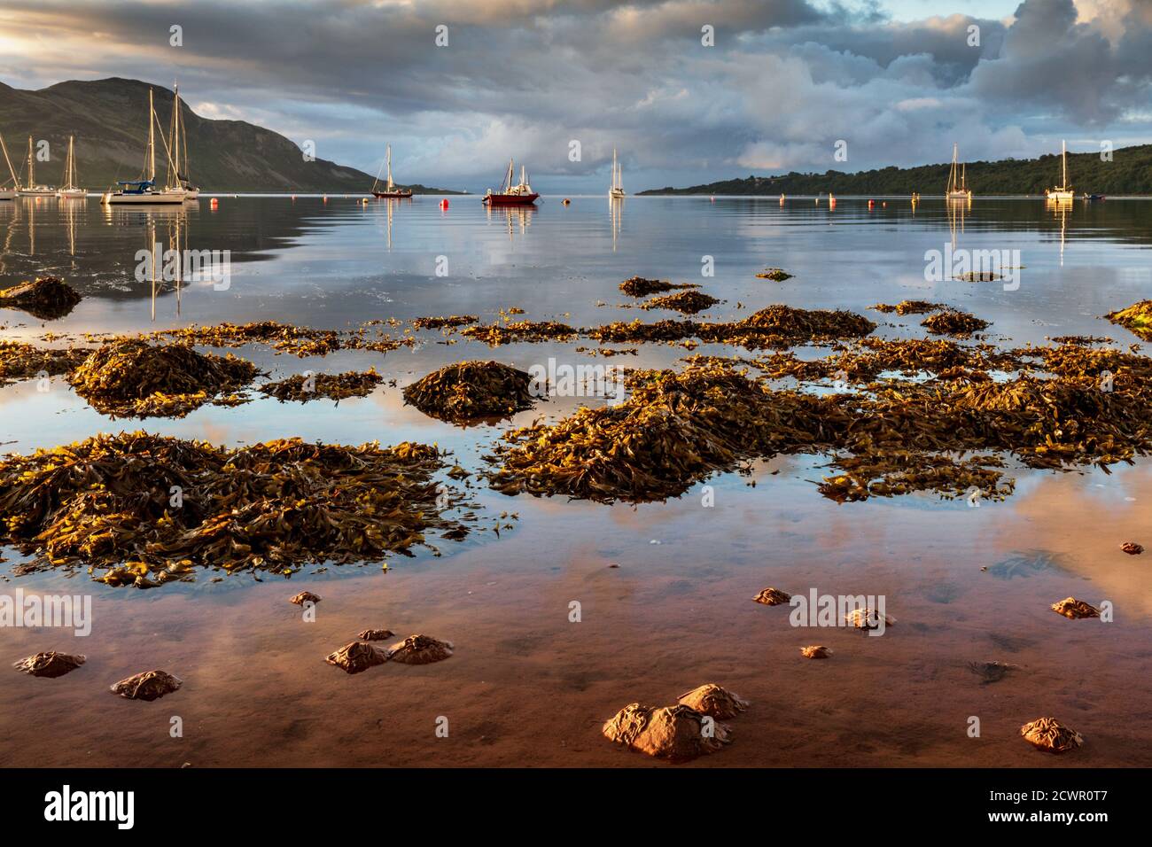 Vista di Santa Isola da Lamlash all'alba, Isola di Arran, nel Firth di Clyde, Scozia, Regno Unito Foto Stock