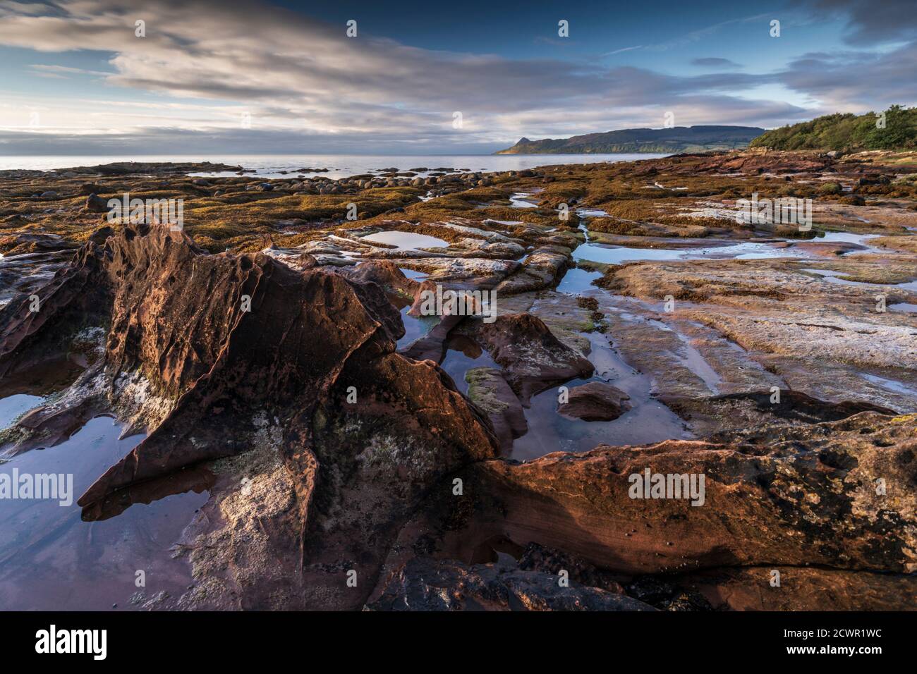 Rocce di arenaria e costa all'alba vicino a Corrie, Isola di Arran, Scozia, Regno Unito Foto Stock