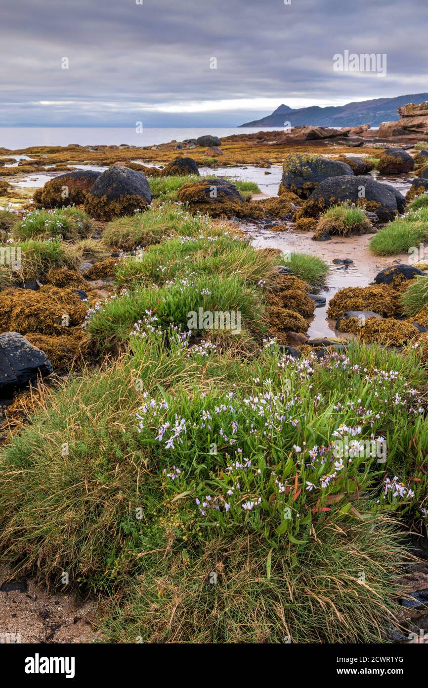 Costa vicino a Corrie, Isola di Arran, Scozia. Foto Stock