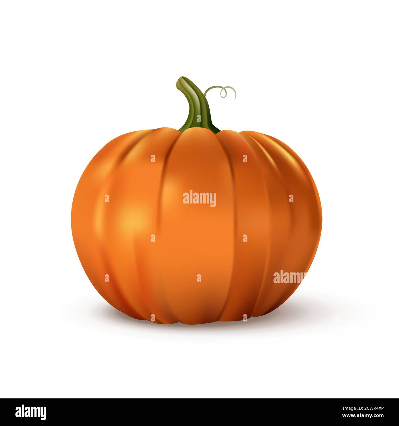 Zucca arancione di Halloween. Isolato cibo realistico tradizionale. Ottobre decorazione vacanza illustrazione vettoriale. Autunno spooky decor per divertimento e. Illustrazione Vettoriale