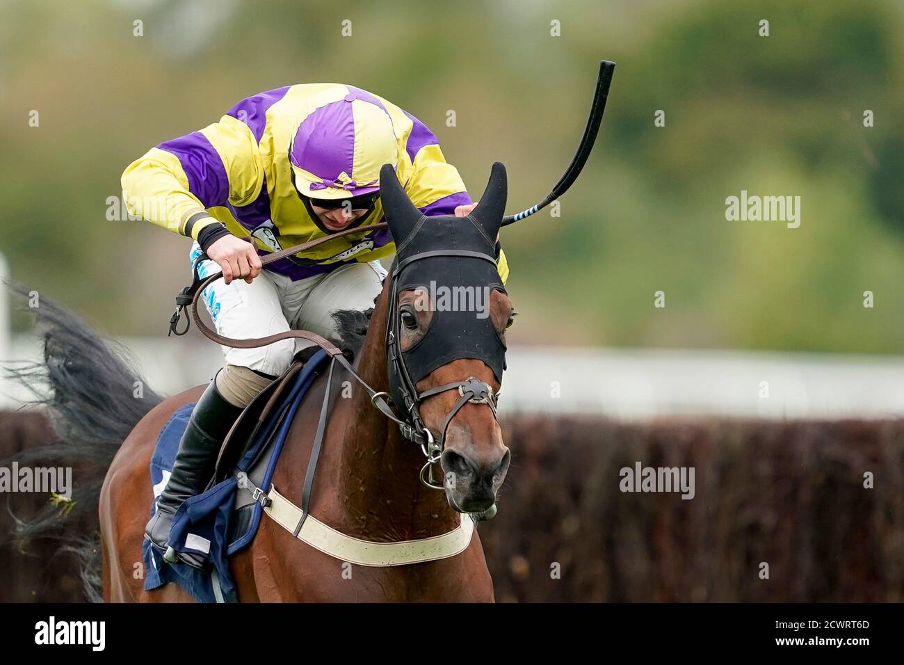 Sean Bowen Riding Elkstone libera l'ultimo a vincere il MansionBet Best Odds Guaranteed Handicap Chase all'ippodromo di Huntingdon. Foto Stock