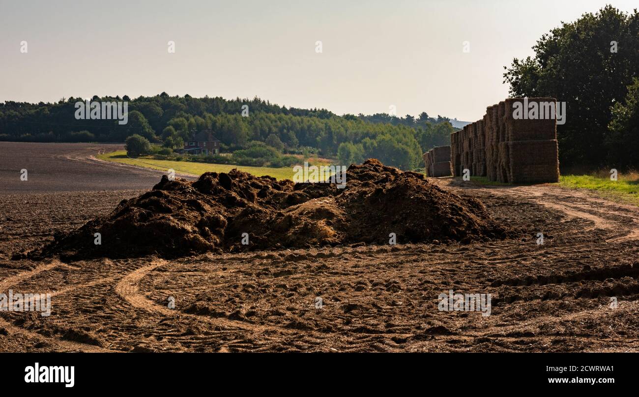Mucchio di concime agricolo in un campo agricolo Inghilterra, Regno Unito Foto Stock