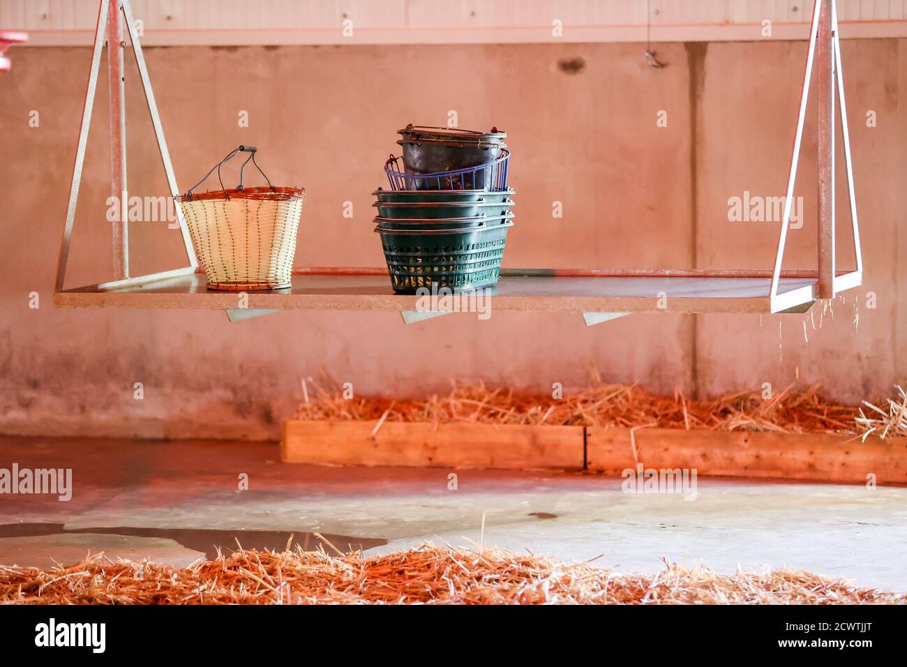 30 settembre 2020, Sassonia, Wermsdorf: Un autocarro per il trasporto delle uova deposte in uno dei tre nuovi edifici della Fattoria dell'Oca di Eskildsen. Le nuove scuderie, ciascuna con una superficie di 2,000 mq, offrono impianti balneari per 1,500 animali ciascuno, un giardino d'inverno, un'alba e un tramonto simulati e, con una luce di luna, anche una luce notturna per orientarsi e calmare. Il progetto è stato completato dopo tre anni di costruzione. sono stati investiti 4.5 milioni di euro. Ogni anno circa 600,000 gaffings schiudono in azienda e sono commercializzati a livello nazionale e internazionale. In media, quasi 20,000 oche Foto Stock