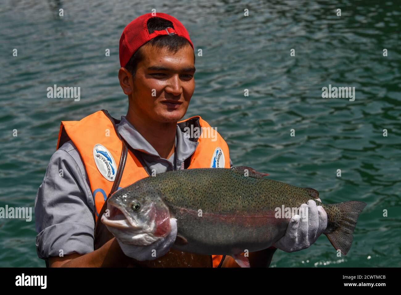 (200930) -- URUMQI, 30 settembre 2020 (Xinhua) -- un dipendente espone un pesce coldwater presso un'azienda agricola biologica nella contea di Pishan nella prefettura di Hotan, nella regione autonoma Xinjiang Uygur della Cina nord-occidentale, 17 giugno 2020. La regione autonoma Xinjiang Uygur della Cina nord-occidentale ha creato circa 2 milioni di nuovi posti di lavoro per i suoi residenti dal 2014 al 19. Dal XVIII Congresso Nazionale del Partito Comunista Cinese (CPC) del 2012, Xinjiang ha attuato con forza progetti per l'occupazione e ha rafforzato la formazione professionale, ampliando i canali e le capacità occupazionali. Dal 2014 al 19, il totale n Foto Stock