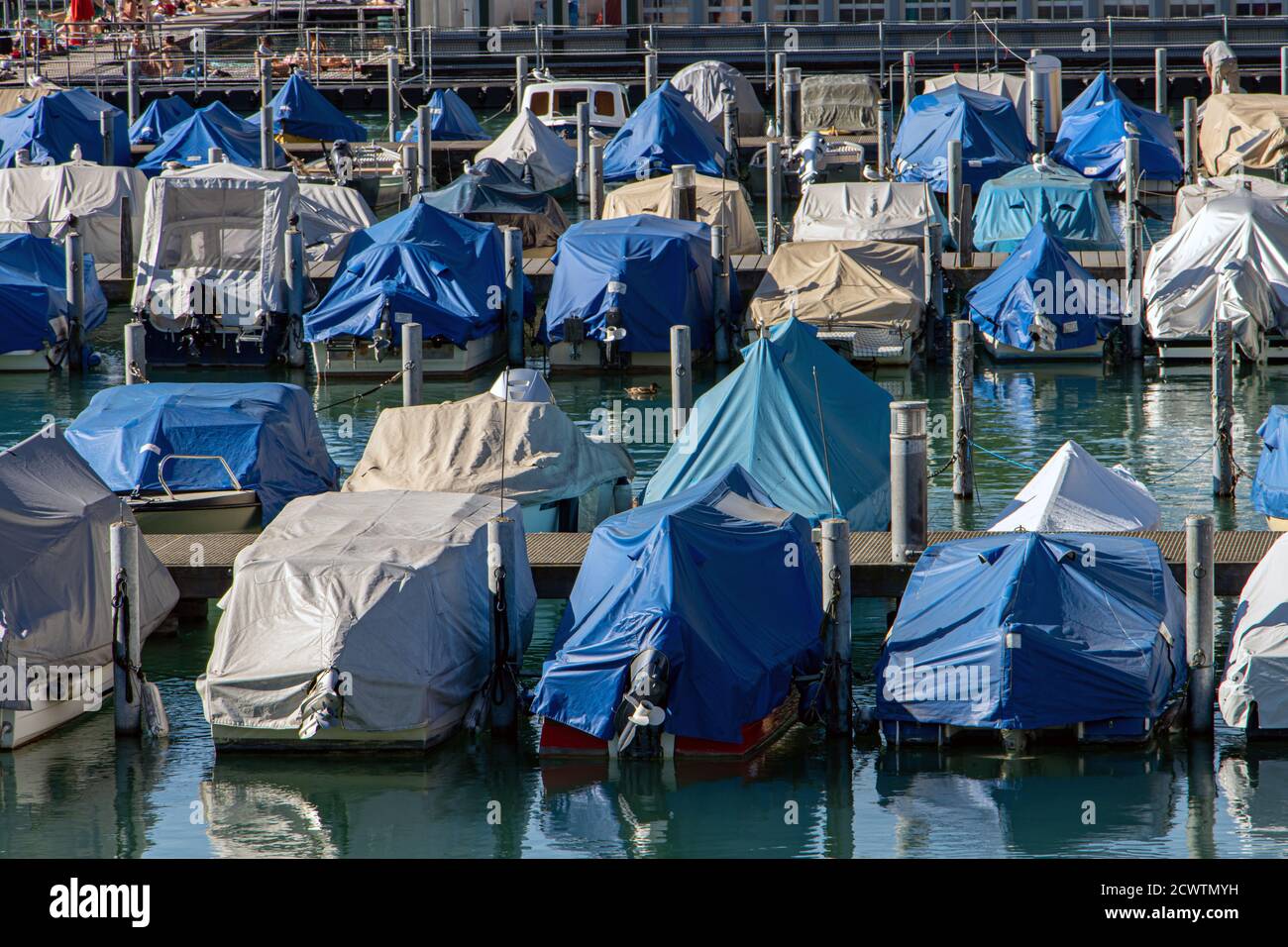 Barche ormeggiate nel porto coperto di tarpe blu, Zurigo, Svizzera. Foto Stock