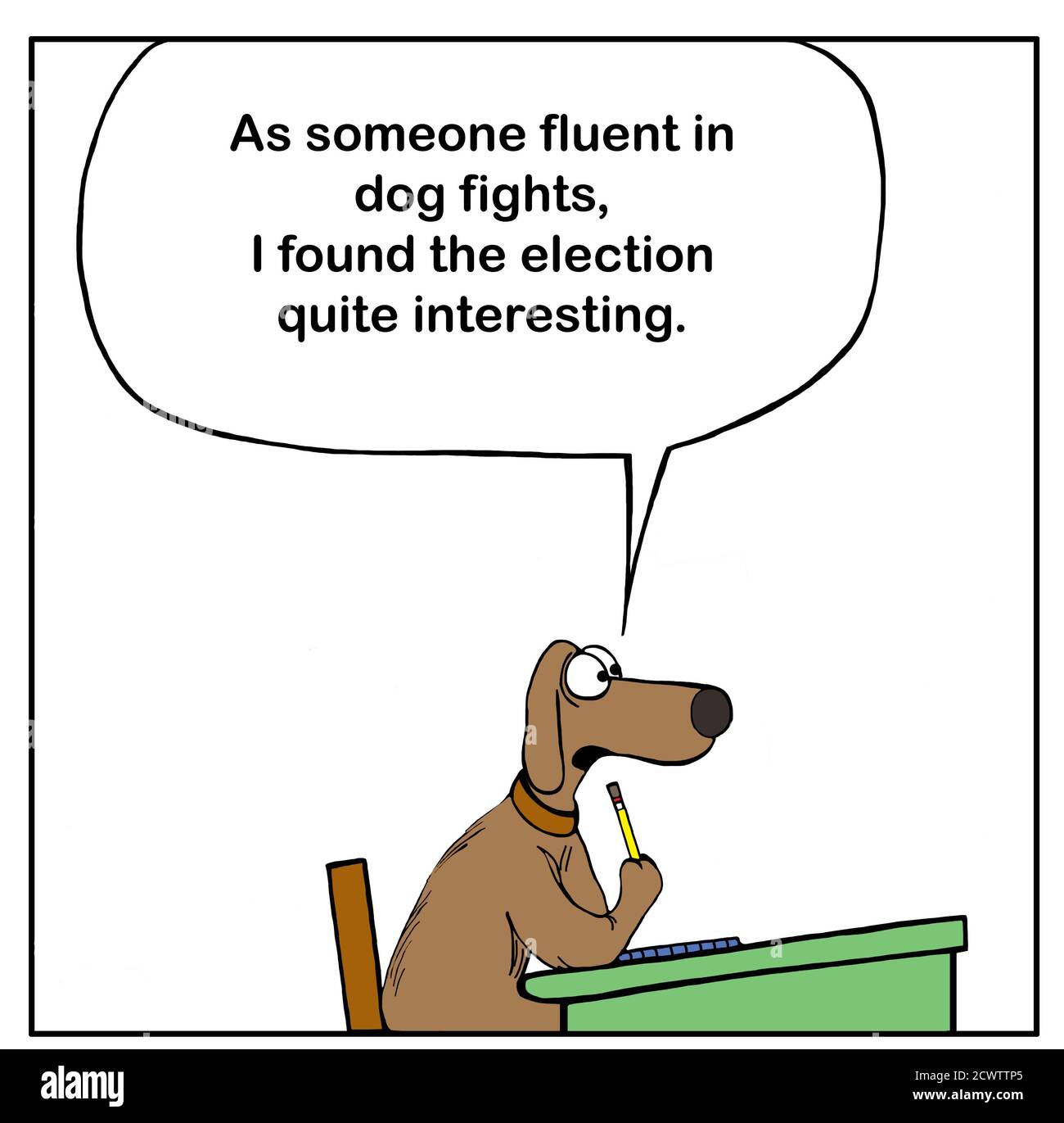 Fumetto a colori di un cane che risponde a una domanda in classe e dichiarando come qualcuno familiare con i combattimenti del cane ha trovato l'elezione abbastanza interessante. Foto Stock