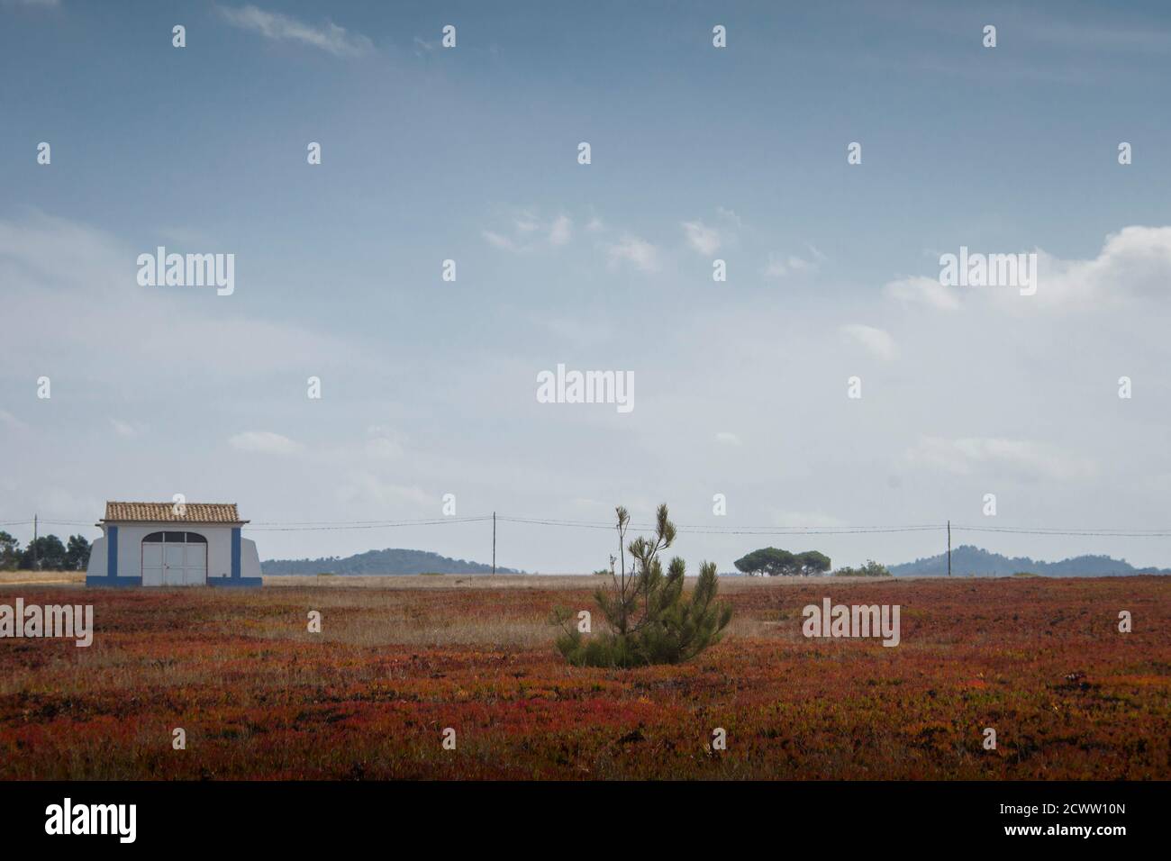 Una piccola casa bianca si erge in un paesaggio di prateria con bassa vegetazione rossa che si estende fino alla linea dell'orizzonte Foto Stock