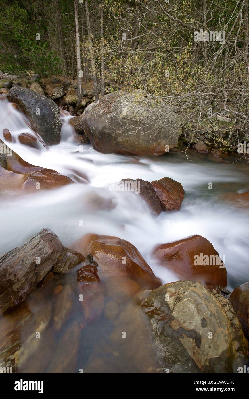 Rio Cinqueta de Añes Cruces.Valle de Gistain.Pirineo Aragones. Huesca. España. Foto Stock