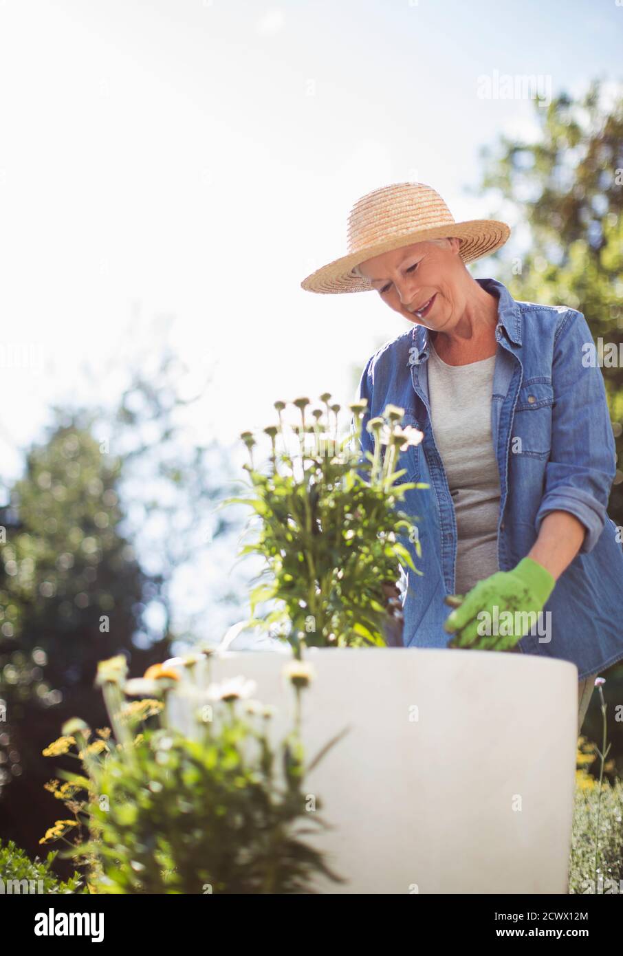 Donna anziana nel giardinaggio del cappello di paglia nel giardino estivo soleggiato Foto Stock