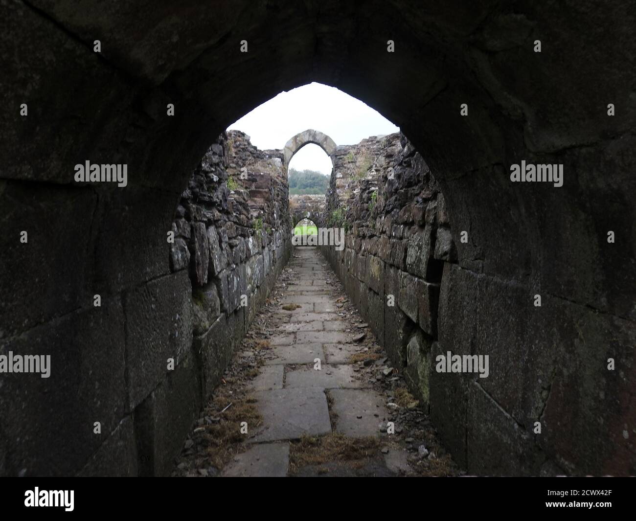 Sawley Abbey rovine, Sawley villaggio, Lancashire, Inghilterra. Una delle poche parti quasi intatta, (un passaggio nel terreno). Era una casa figlia di Newminster Abbey.William de Percy e i monaci di Newminster erano i fondatori. Foto Stock