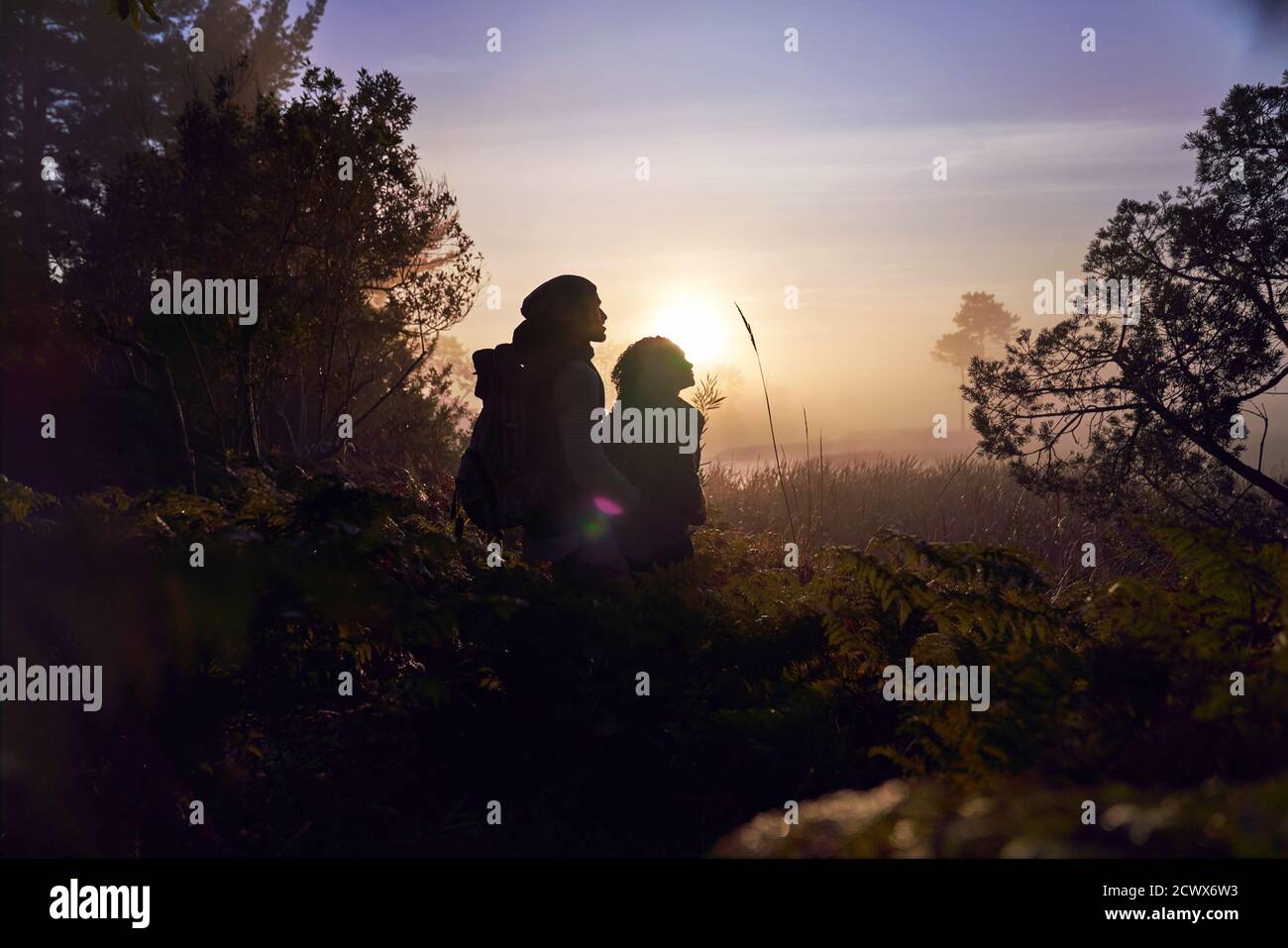 Silhouette tranquilla giovane coppia godendo di escursione nella natura al tramonto Foto Stock