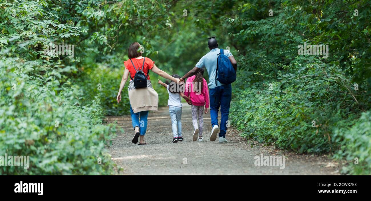 Famiglia che tiene le mani ed escursioni lungo il percorso in boschi Foto Stock