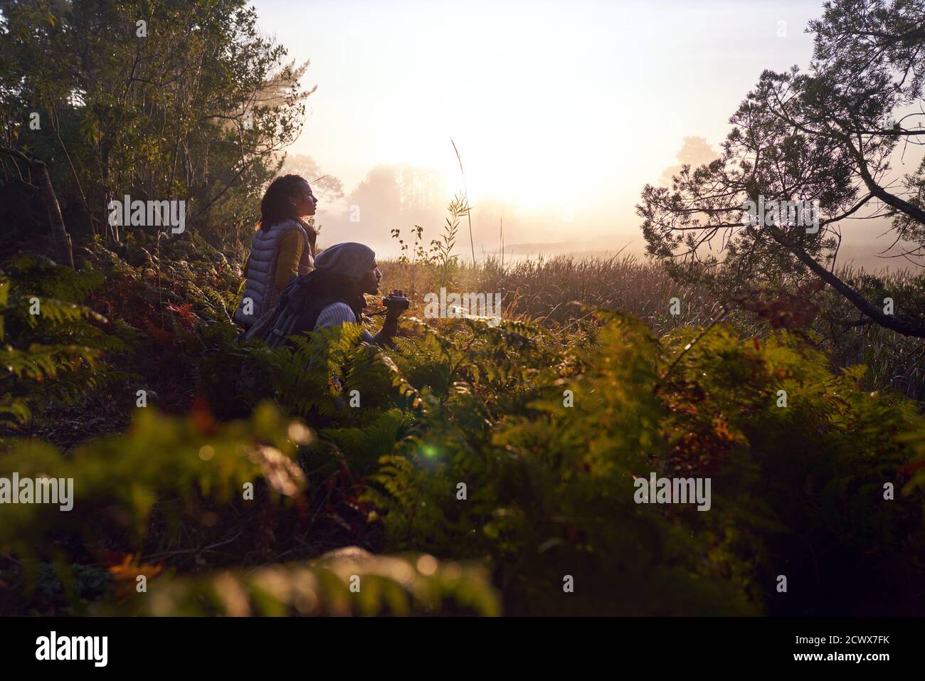 Giovane coppia serena con binocoli in natura al tramonto Foto Stock