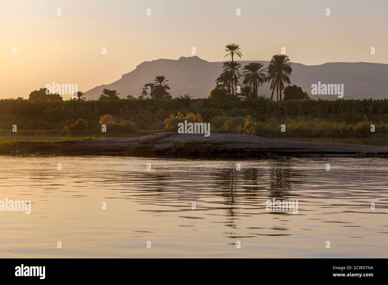 Tramonto su palme sul fiume Nilo, Luxor Foto Stock