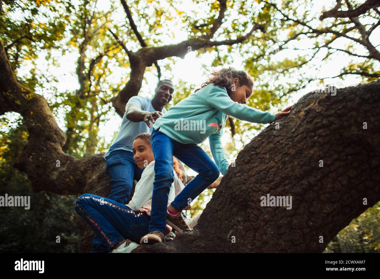Padre e figlie che arrampicano l'albero Foto Stock
