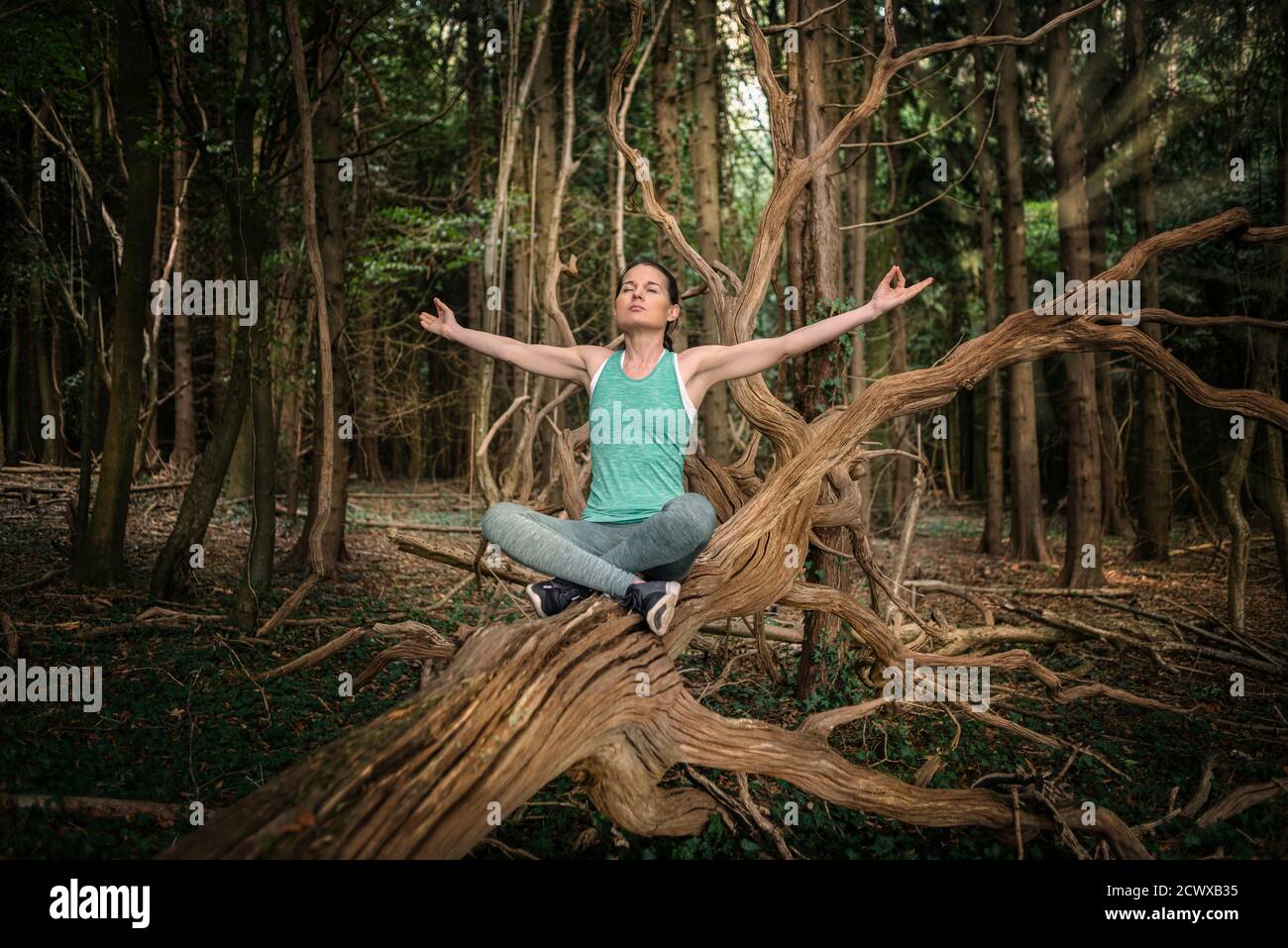 donna seduta su un albero in una foresta meditando e praticando yoga, torna alla natura. Foto Stock