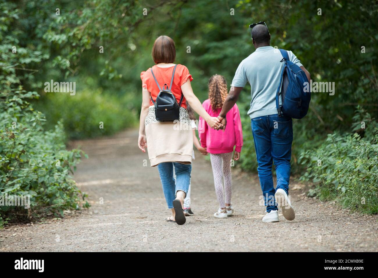 Famiglia che tiene le mani che camminano sul sentiero nei boschi Foto Stock