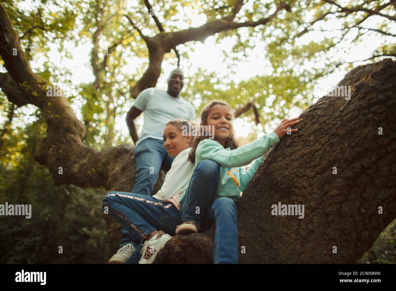 Padre e figlie che arrampicano l'albero Foto Stock